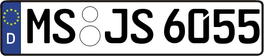 MS-JS6055