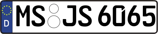 MS-JS6065