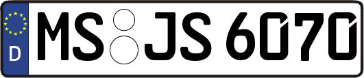 MS-JS6070