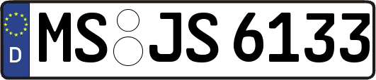 MS-JS6133