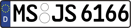 MS-JS6166