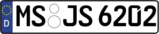 MS-JS6202