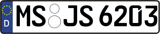 MS-JS6203