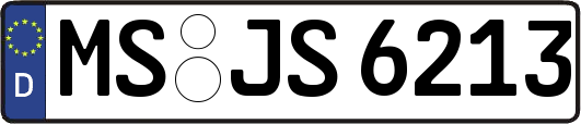 MS-JS6213