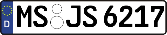 MS-JS6217