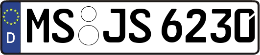 MS-JS6230