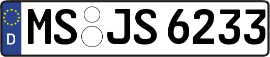 MS-JS6233