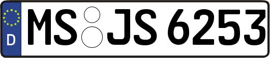 MS-JS6253