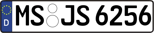MS-JS6256