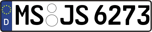 MS-JS6273