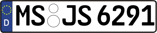 MS-JS6291