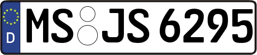 MS-JS6295