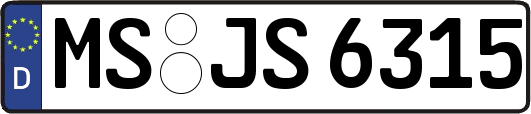 MS-JS6315