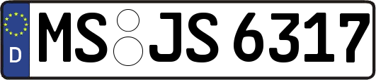 MS-JS6317