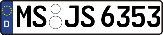 MS-JS6353