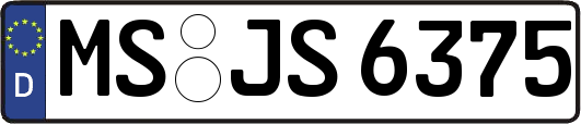 MS-JS6375