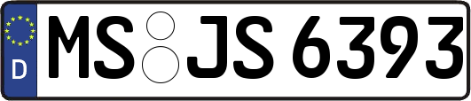MS-JS6393