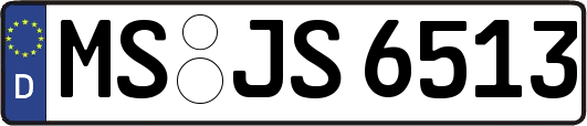 MS-JS6513