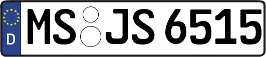 MS-JS6515