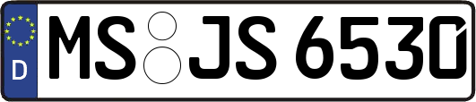 MS-JS6530