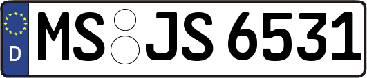 MS-JS6531