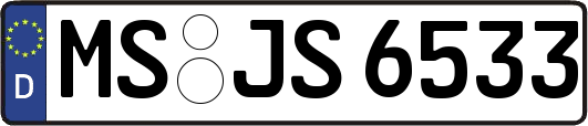 MS-JS6533