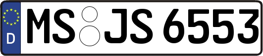 MS-JS6553