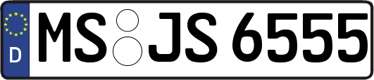MS-JS6555