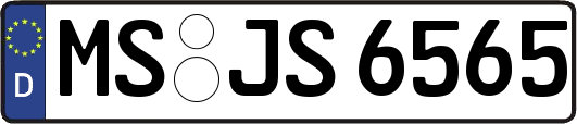 MS-JS6565