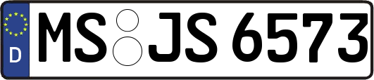 MS-JS6573