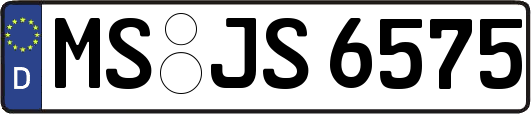 MS-JS6575