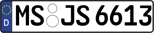 MS-JS6613