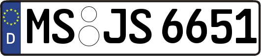 MS-JS6651
