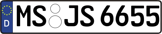 MS-JS6655