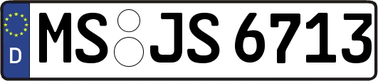 MS-JS6713