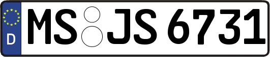 MS-JS6731
