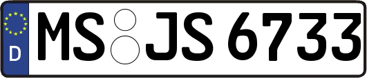 MS-JS6733
