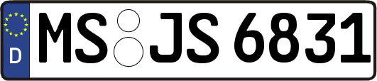MS-JS6831