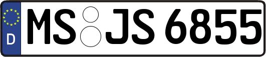 MS-JS6855