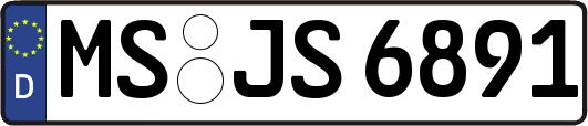 MS-JS6891