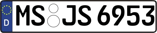 MS-JS6953