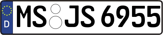 MS-JS6955