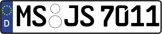 MS-JS7011
