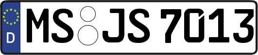 MS-JS7013