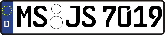 MS-JS7019