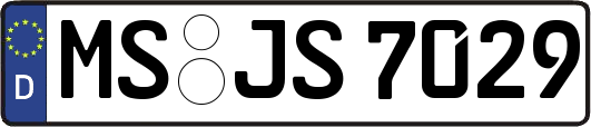 MS-JS7029