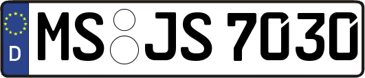 MS-JS7030