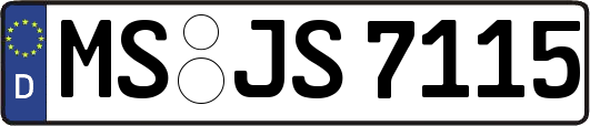 MS-JS7115