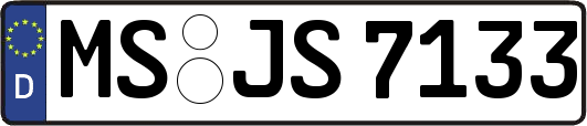 MS-JS7133