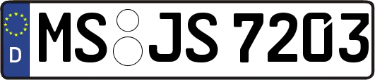 MS-JS7203